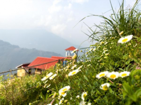 Tumfuwa Homestay